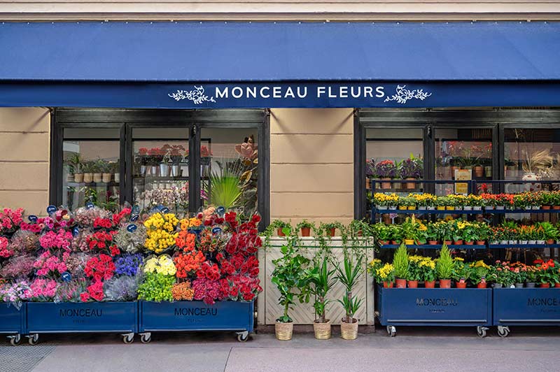 MONCEAU FLEURS 